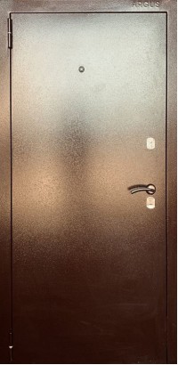 Дверь Аргус, модель 2 Мини Дуб рустикальный