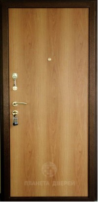 Дверь Аргус, модель Аргус 3